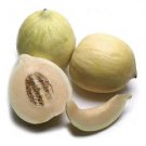 Fruit seeds Crenshaw Melon, 50 seeds #DVDS73