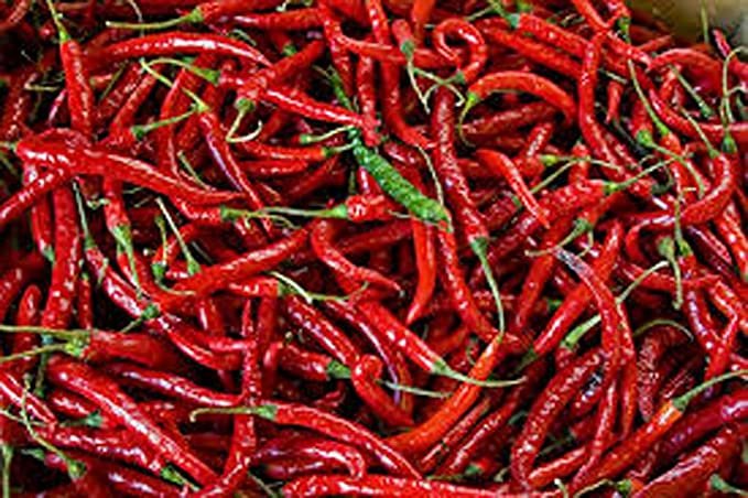 50 vegetable seeds Cayenne Long Red Thin Pepper, fast growing    #DVDS73
