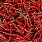 50 vegetable seeds Cayenne Long Red Thin Pepper, fast growing    #DVDS73