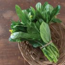 1000 vegetable seeds Heat-tolerant Asian Yu Choy   #MRJS78
