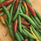 25  Super Hot Thai Bird Premium Pepper seeds #PPTE79