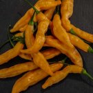 25  Pepper Seeds Rare  Ají Melocoton Premium #PPTE79