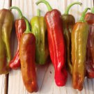 25  Pepper Seeds Golden Greek Pepperoncini, easy to grow   #PPTE79