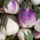 25    Elegant Rosa Bianca Italian Eggplant vgetable seeds #PPTE79