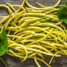 50 Seeds Top notch Golden Bush Bean, easy to grow #SRPY81