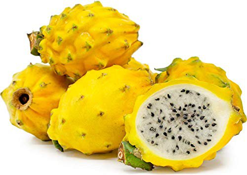 10 fruit seed  Yellow Dragon Fruit  White Interior  Hylocereus megalanthus #SRPY81