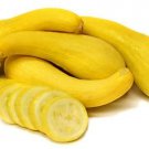 15 Seeds Golden Crookneck Squash, easy to grow     #SRPY81