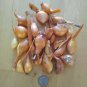 50 Yellow Potato Onion seeds, Multiplier Onions