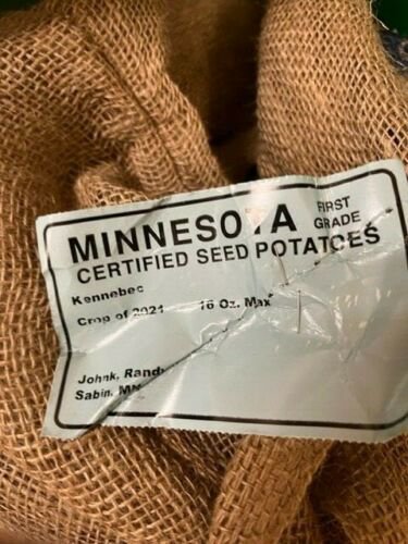 Certified First Grade Kennebec Seed Potatoes, 2 pound