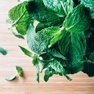 Peppermint Seeds Mentha Mint, Perennial, 400  Seeds