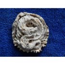Dragon Carved Horn Pendant from Deer Antler