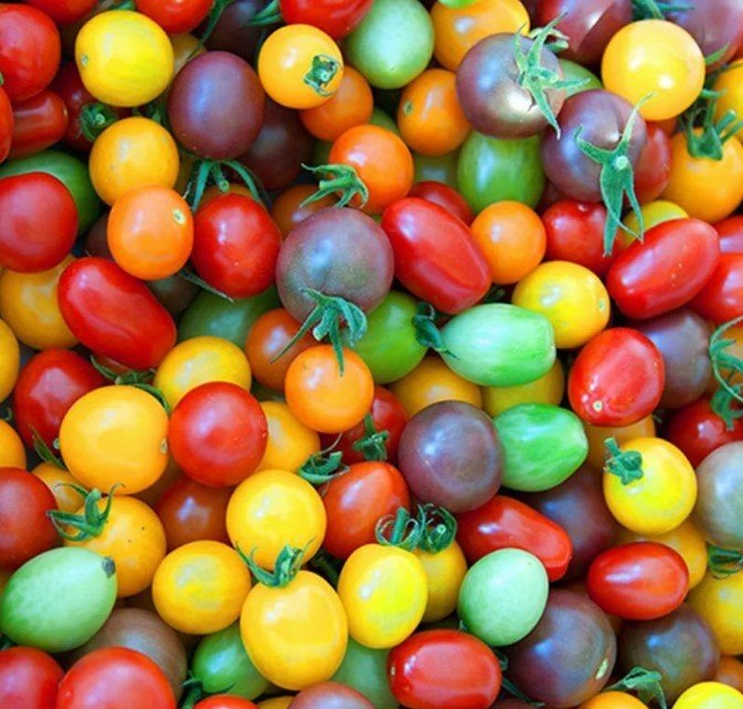 50x Tomato Cherry Mix Cocktail Yellow Pink Red Seeds Home Grown Garden Seeds