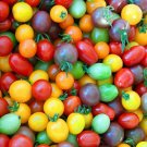 50x Tomato Cherry Mix Cocktail Yellow Pink Red Seeds Home Grown Garden Seeds