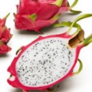 10 Seeds WHITE DRAGONFRUIT Fruit Tree Cactus Plant Fruit Rare Plant FREESHIPPING