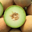3 Seeds HAMI MELON Fruit Plant Fruit Seeds Rare Plant FREESHIPPING