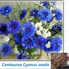 100pcs/bag Cornflower (Centaurea Cyanus)  Flower Seeds
