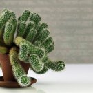 10 Green Cactus Seeds Mixed Stone Flower Desert