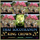 King Crown Adenium Thai Socotranum House Bonsai 5 Seeds Per Pack