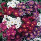 Duchess White Alpinus Mix Flower 100 Seeds