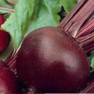 100 Seeds Detroit Dark Red Beets Non-Gmo Heirloom Usa From USA