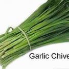 Garlic Chives 300 Seeds Non GMO Perennial