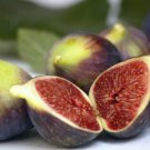 Import Sweet Brown Turkey Fig 20 seeds per pack Fresh From Garden