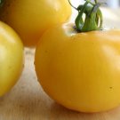 Tomato YELLOW GROSSE LISSE 15 Seeds