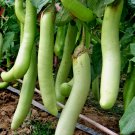 20 seeds Eggplant - Thai Long Green