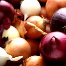 100 seeds vegetable Onion - Mixed Varieties