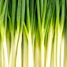 100 seeds vegetable Bunching Spring Onion / Shallot