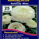 25 seeds fresh RANUNCULUS BULBS white