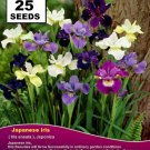 JAPANESE IRIS Ensata  Mix Colours 25x  SEEDS garden docere