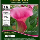 15 seeds High Germation CALLA Lilies - (Zantedeschia hybrida) Pink