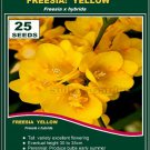 sell 25 seeds Yellow Sunset FREESIA Flower Classic Collection