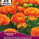 Flower Garden With 25 bulbs RANUNCULUS BULBS Buttercup - Orange