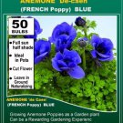 super sell 50 Bulbs Poppy Anemone de Caen BLUE