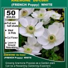 SUPER sell 50 Bulbs Poppy Anemone de Caen WHITE