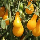 CHERRY TOMATO Yellow Pear 15 Seeds Vegetable Garden