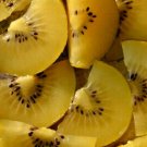 KIWI FRUIT Yellow Actinidia Vine 50 Seeds