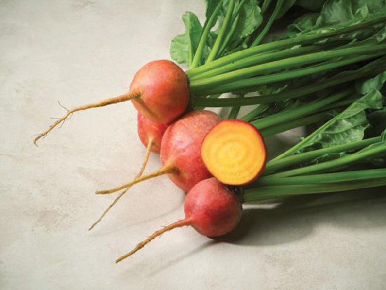 GOLDEN BEET Beta Vulgaris Yellow Root 30 seeds