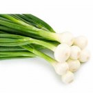100 seeds extra Barletta Pickling White Onion