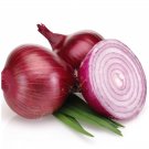 Fresh Red Onion (odourless) 100 seeds extra