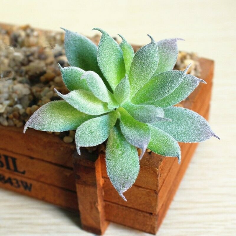 UK Only Small Pointed Lotus Artifical Simulation Fake Mini Succulents