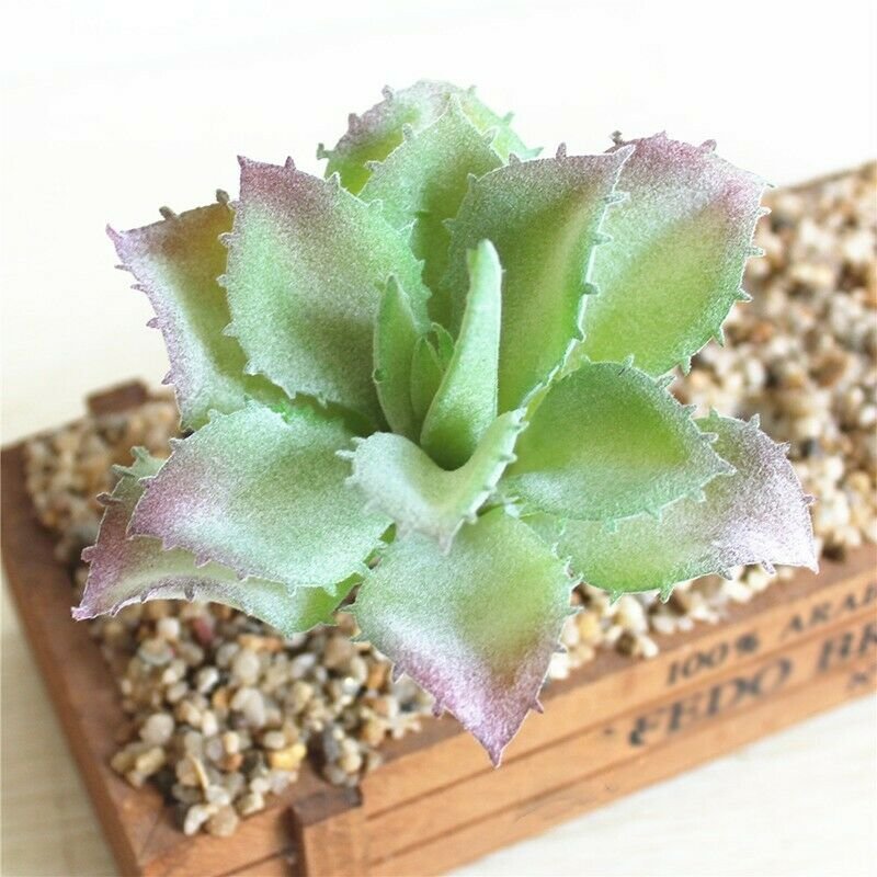 UK Only Small Pointed Lotus Artifical Simulation Fake Mini Succulents