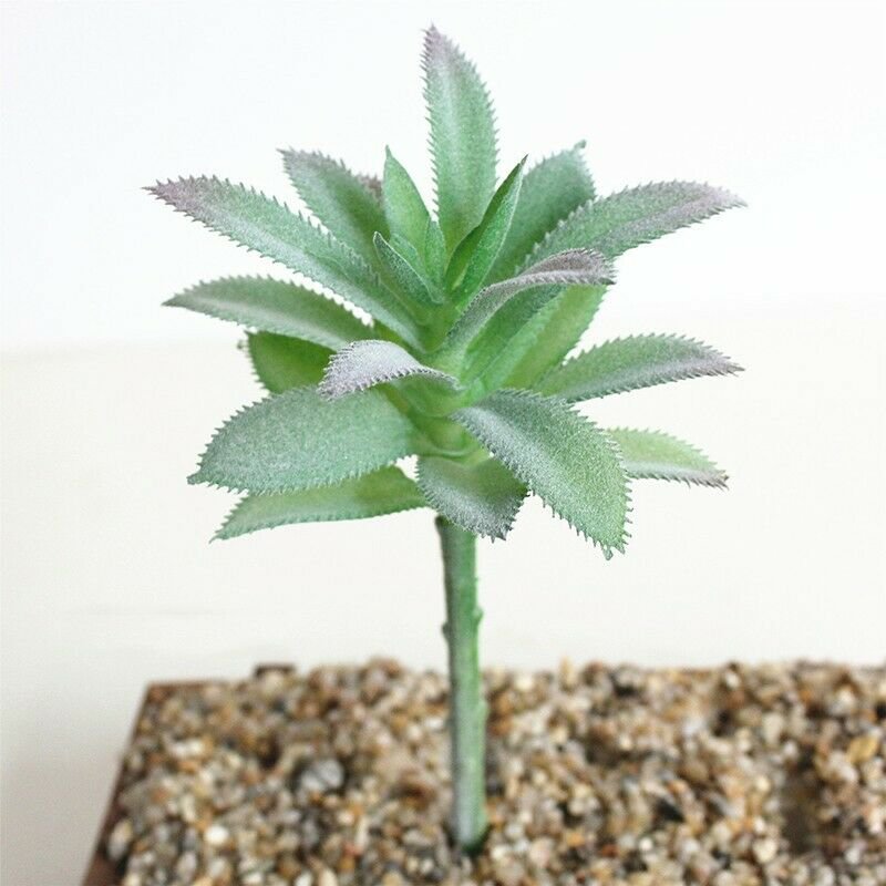 UK Only Agave Artifical Simulation Fake Mini Succulents