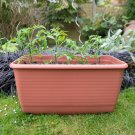 Tomato Trough Kit plant for UK (US Seeds)
