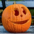 Jack-O-Lantern Pumpkin (Medium Size)