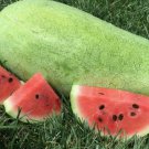 Charleston Gray Watermelon