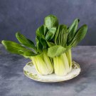 Pak Choi White Stem Cabbage