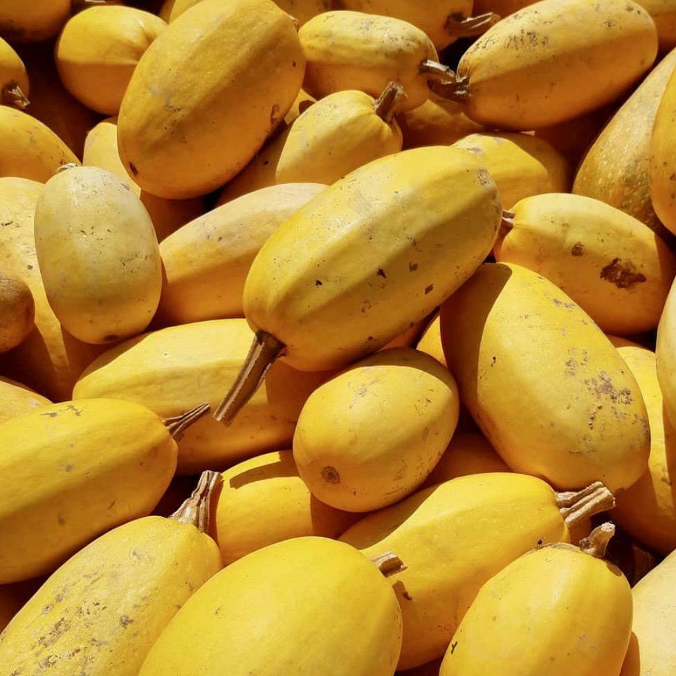 Vegetable Spaghetti Winter Squash